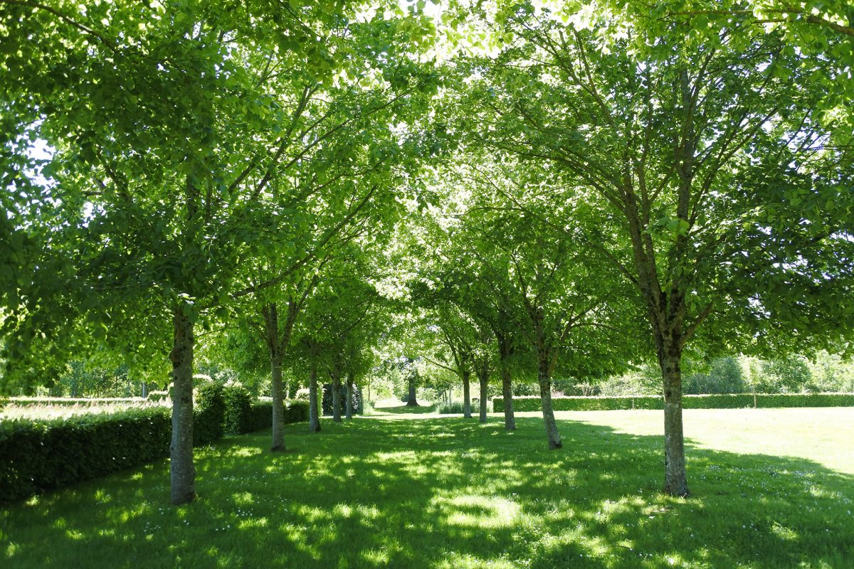 Jardin Chaligny Sainte-Pexine (3)