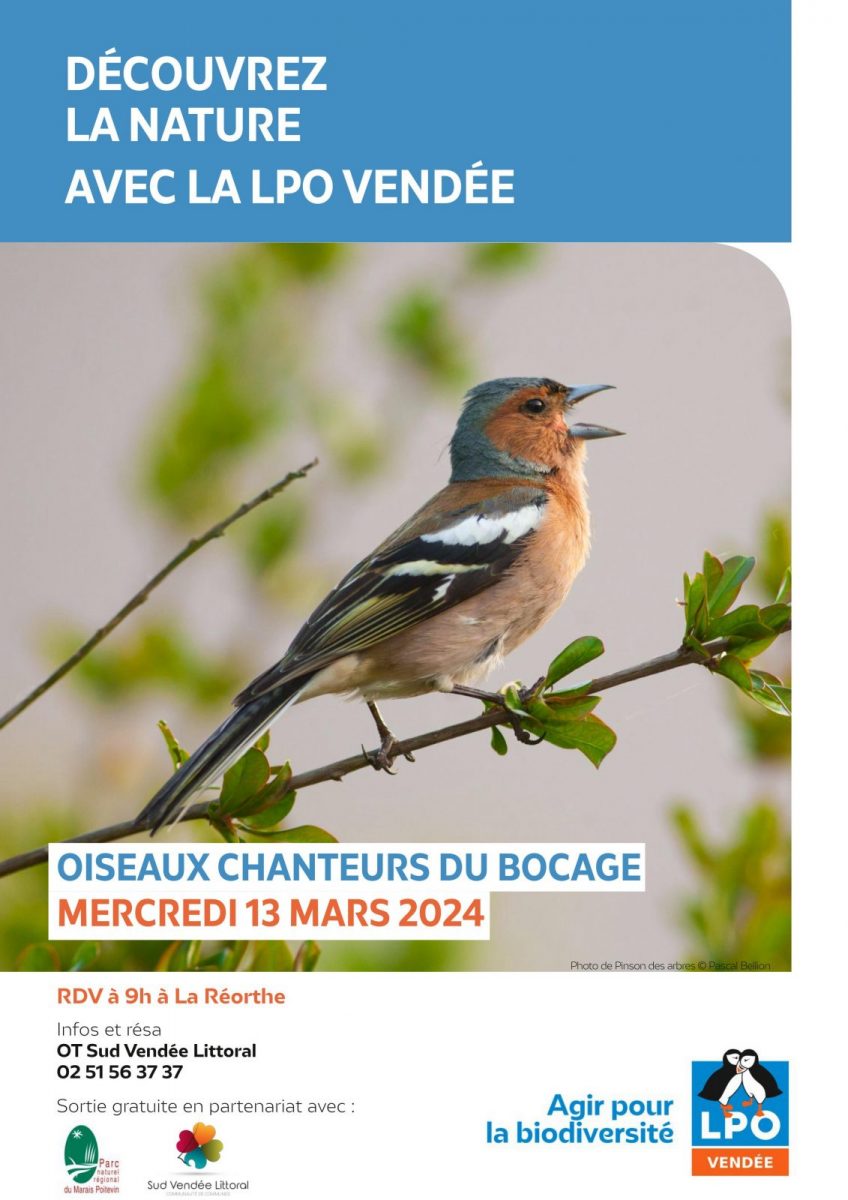 LPO85_Terres_d_oiseaux-La Réorthe-affiche event