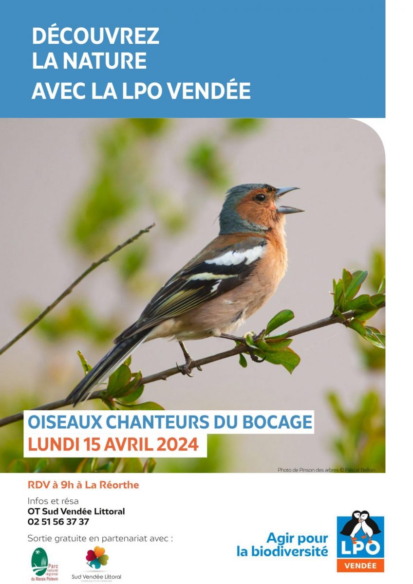 LPO85_Terres_d_oiseaux-La Réorthe-affiche event