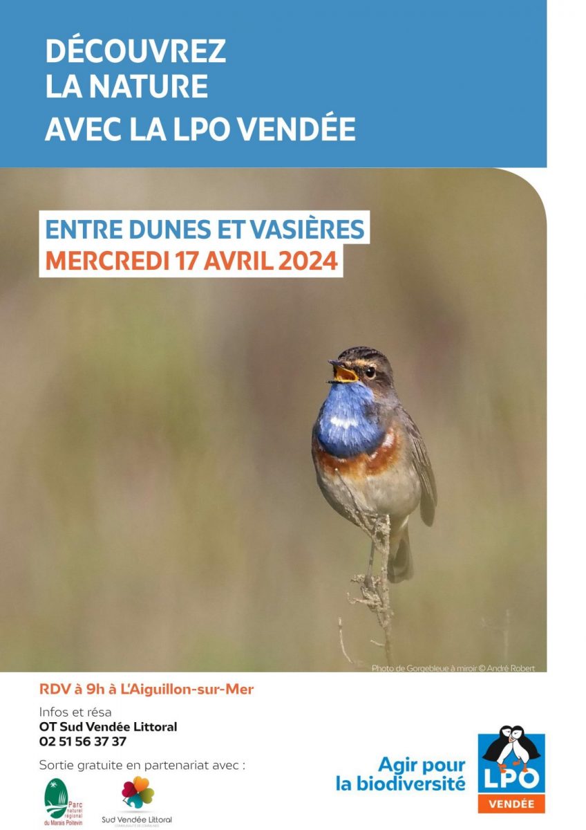 LPO85_Terres_d_oiseaux-L’Aiguillon-la-Presqu’île-Affiche event gorgebleue
