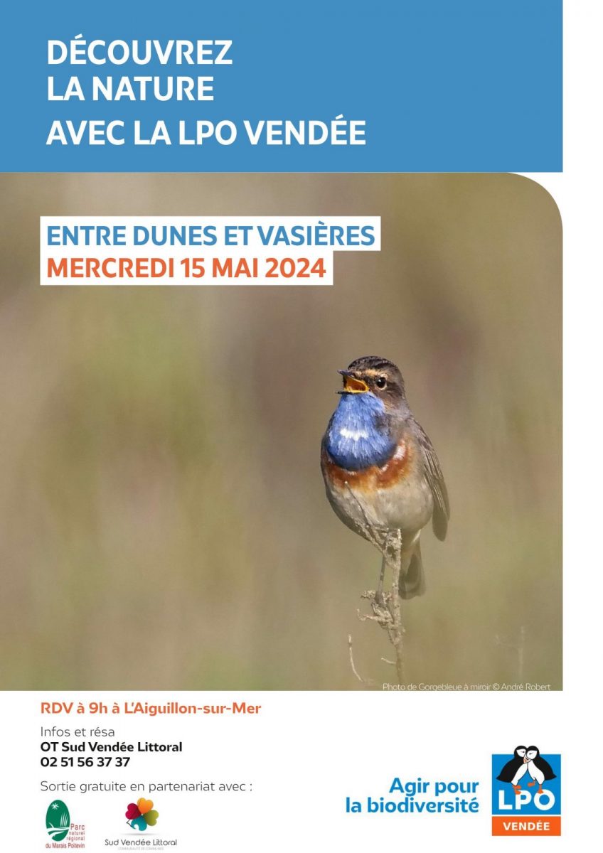 LPO85_Terres_d_oiseaux-L’Aguillon-la-presqu’île-affiche photo de gorgebleue