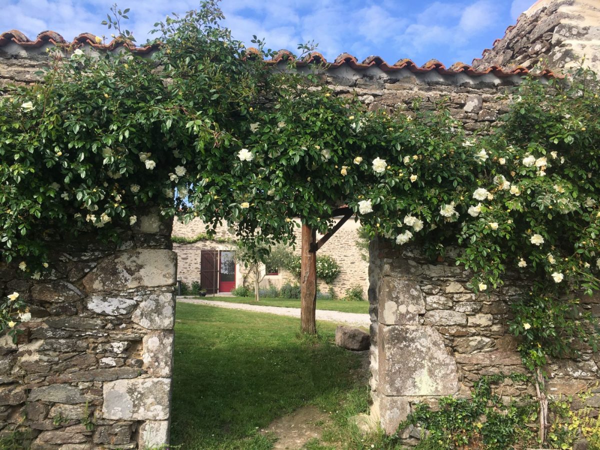 rosier GITE LA PESCHERIE – Chateau-Guibert