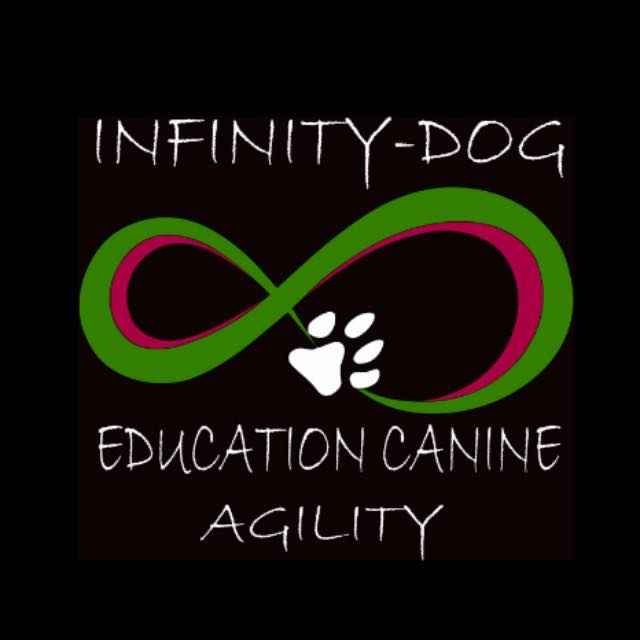 Infinity-dog