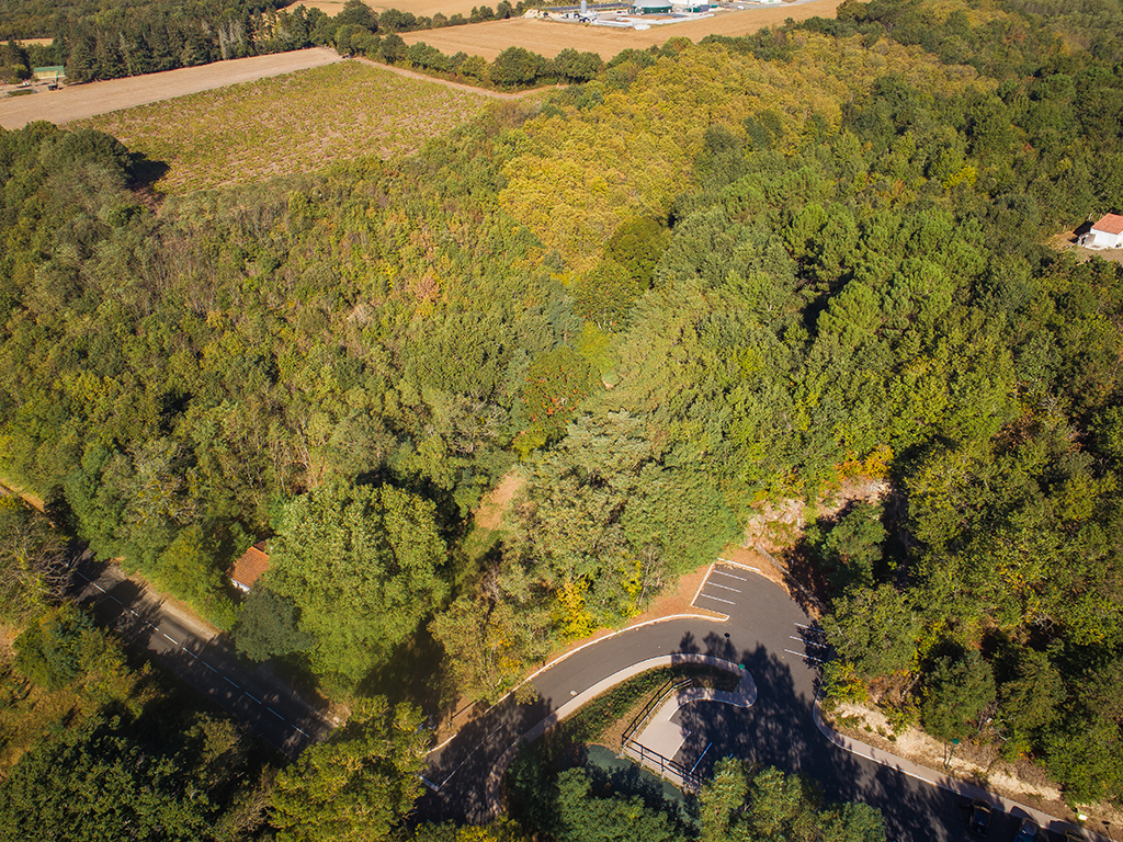 Bois des Tours – Mareuil-sur-Lay-Dissais -Vue aérienne du bois