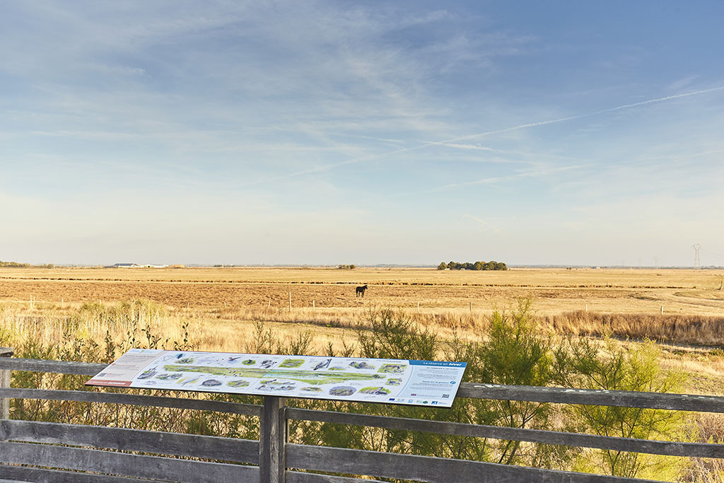 Réserve Vacherie-Champagné-les-Marais-photo panneau devant prairie