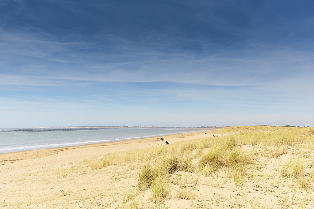 Plage des Bélugas – la Faute-sur-Mer -Vue plage et dunes